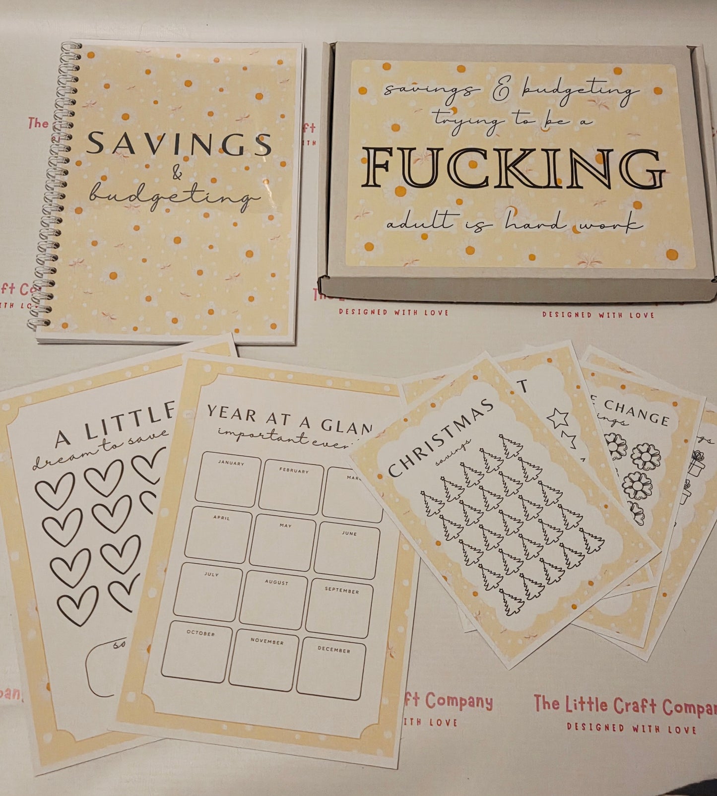 Savings & Budgeting Gift Box | Funny Budget Planner & Savings Challenge Set