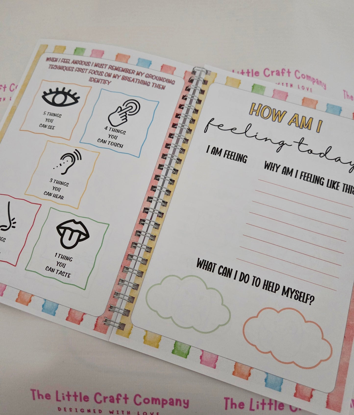 Feeling Zones & Self Regulation Book - Squishy Design