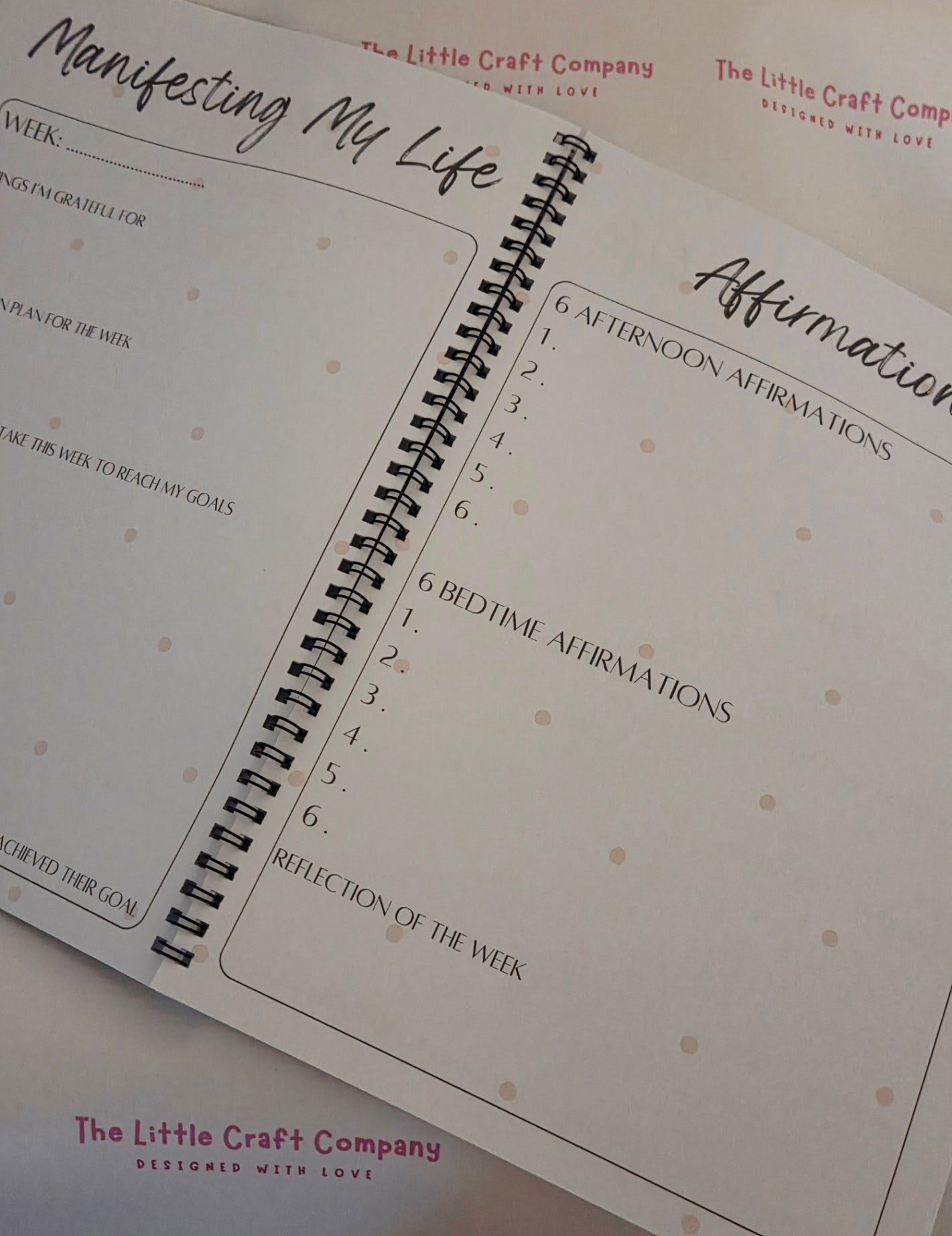 Manifestation Journal